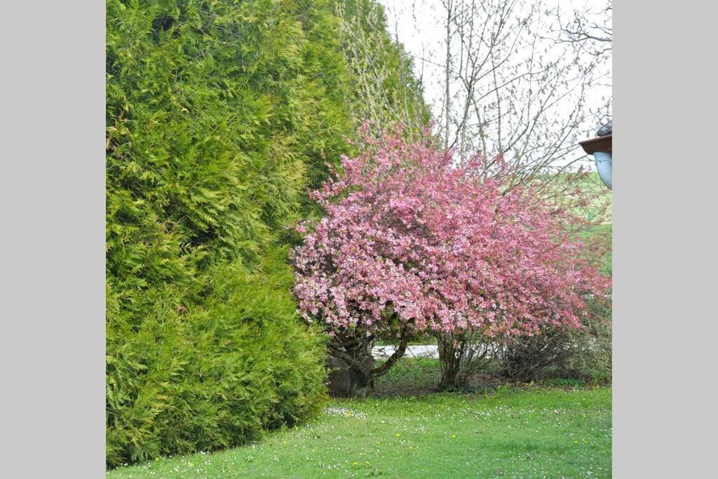 Domaine Des Montots Villa Tanlay Екстериор снимка